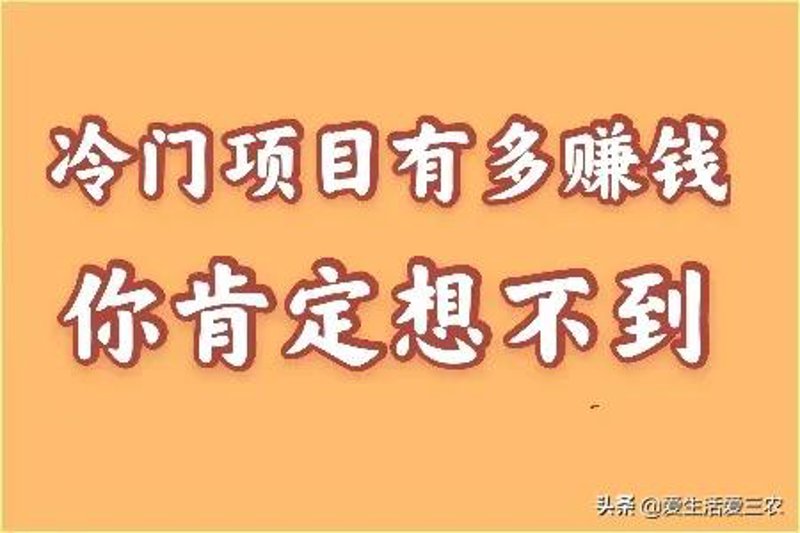 暴利项目